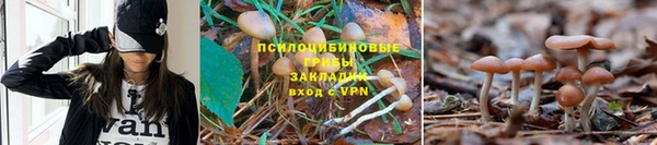 ALPHA-PVP Балахна