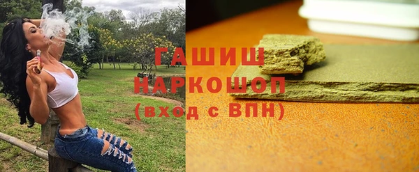 прущие грибы Тутаев