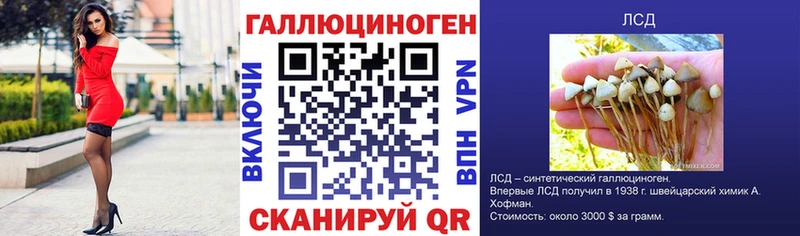 Купить где  Вязьма  Псилоцибиновые грибы прущие грибы 
